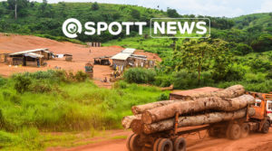 Log Export Ban Congo Basin ZSL SPOTT