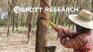 ZSL SPOTT Natural Rubber Research 2021