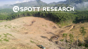 ZSL SPOTT Timber Pulp Research 2021