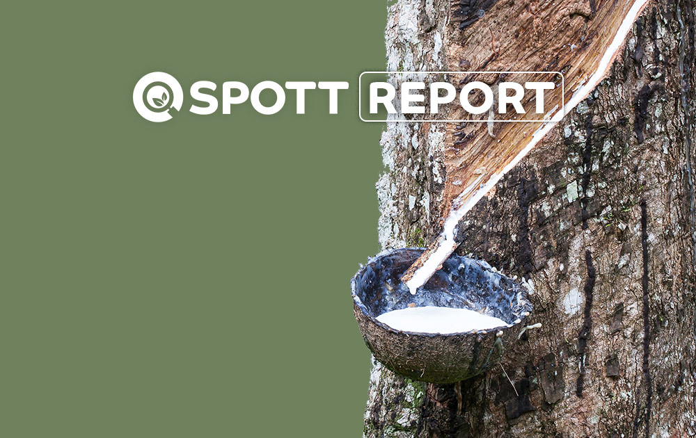 Sustainability in the Natural Rubber Supply Chain