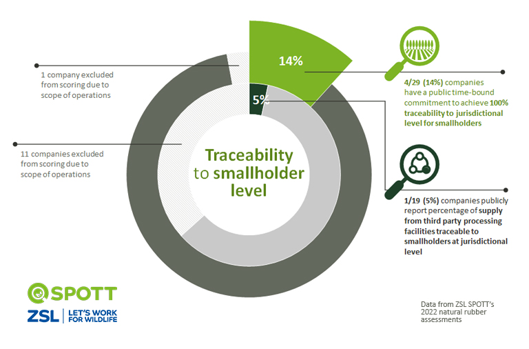 Natural rubber smallholder traceability ZSL SPOTT 2022