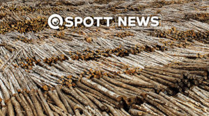 ZSL SPOTT Timber Paper Indicator Framework Consultation 2022