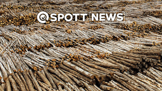 ZSL SPOTT Timber Paper Indicator Framework Consultation 2022