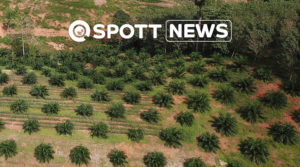 PRI Reports news ZSL SPOTT