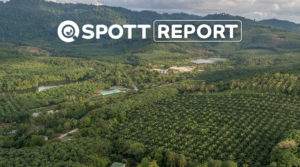 ZSL WWF Report on RSPO