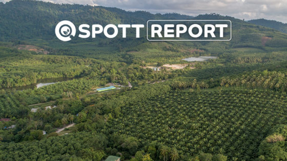 ZSL WWF Report on RSPO