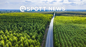 EU deforestation regulation news